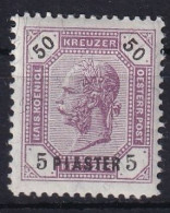 AUSTRIAN LEVANTE 1891 - MLH - ANK 29 - Levant Autrichien