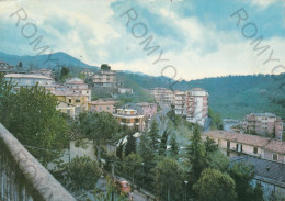 CARTOLINA  C2 SEGNI M.668,ROMA,LAZIO-PANORAMA-STORIA,MEMORIA,CULTURA,IMPERO ROMANO,BELLA ITALIA,VIAGGIATA 1979 - Cafes, Hotels & Restaurants