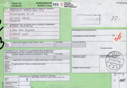 Danimarca (1993) - Bollettino Pacchi Per La Francia - Cartas & Documentos