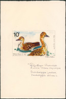 Projet Non Retenu Réalisé Par J. Van Noten Sur Les Oiseaux Aquatiques (République Rwandaise, 1975) 10F Signé + Couleurs - Other & Unclassified