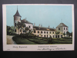 AK MARIA ENZERSDORF Wällischhof 1905  // D*58678 - Maria Enzersdorf