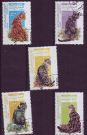 Asie - Afghanistan - 2000 - Chats - 5 Timbres Différents - 6665 - Afghanistan