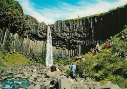 73577678 Island Svartifoss Wasserfall Skaftafell Nationalpark Island - IJsland