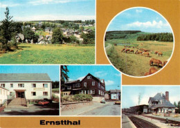 73924059 Ernstthal_Rennsteig Teilansicht Haflinger Des VEG Tierproduktion Meura  - Lauscha