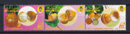 179 BRUNEI 1990 - Y&T 428/30 - Fruit - Neuf ** (MNH) Sans Charniere - Brunei (1984-...)