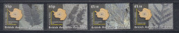 British Antarctic Territory (BAT) Fossils / Ferns 4v ** Mnh (ZO159) - Ungebraucht