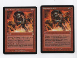 Lot 2 Feu De Tout Bois MTG Rare Odysee Magic The Gathering - Cartes Rouges