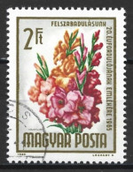 Hungary 1965. Scott #1675 (U) Flowers, Gladioli - Gebraucht