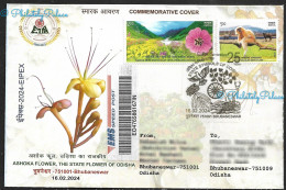 India 2024 Ashoka Flower,Indian Roller,Bird,Peepal Tree,Fish,Deer,Animal,State Odisha,Registered Cover (**) Inde Indien - Brieven En Documenten