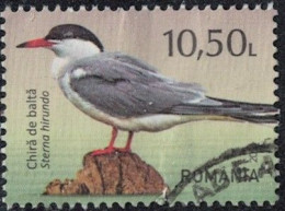 Roumanie 2021 Oblitéré Used Oiseau Sterna Hirundo Sterne Pierregarin Y&T RO 6679 SU - Oblitérés