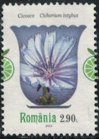 Roumanie 2023 Used Plantes Médicinales Cichorium Intybus Chicorée Sauvage Y&T RO 6962 SU - Used Stamps