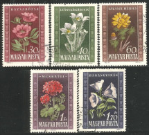 494 Hongrie Fleurs Flowers Anemone Geranium Peony Pivoine (HON-112) - Used Stamps