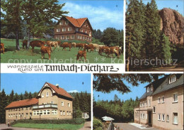 72382757 Tambach-Dietharz Berghotel Ebertswiese Falkenstein Rodebachmuehle  Tamb - Tambach-Dietharz