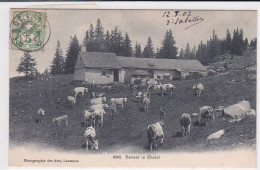 Chalet D'alpage Avec Vaches 1907 "Devant Le Chalet " - Genolier