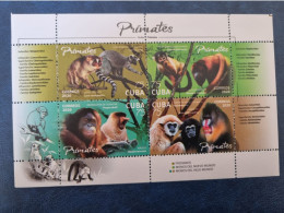 CUBA  NEUF   2020   HE  PRIMATES- DENTELE  COMPLET  //  PARFAIT  ETAT  //  1er  CHOIX  // - Unused Stamps