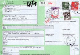 Danimarca (1992) - Bollettino Pacchi Per La Francia - Cartas & Documentos