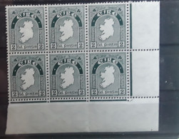 IRLANDE IRELAND 1941 , Yvert 81 , BLOC DE 6 Du 2 P Vert Gris , COIN DE FEUILLE Neuf ** MNH TB - Neufs