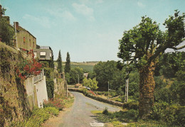 Argenton Chateau (79 - Deux-Sèvres ) Multivues - Argenton Chateau