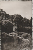 Mayenne :  AMBRIERES Le  GRAND : Le  Passage Des  Pierres - Ambrieres Les Vallees