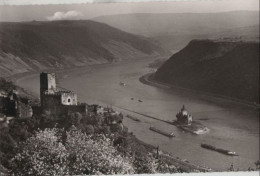 68575 - Kaub - Burg Gutenfels Und Die Pfalz - Ca. 1960 - Kaub