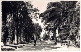 Postal Valencia. Jardines Del Real. Paseo Central No. 151 - Sonstige & Ohne Zuordnung