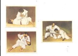 GF2388 - IMAGES DOCKS FRANC COMTOIS - JUDO - Martial Arts