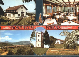 72305772 Wiechs Schopfheim Hotel Berghaus Hohe Flum Gastraum Panorama Turm Schop - Schopfheim