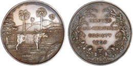 Silbermedaille Der Colombo Agri-Horticultural Society 1899 V. Spink & Son. Wasserbüffel Im Reisfeld Vor Palmen/Schri - Sri Lanka