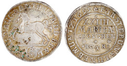 24 Mariengroschen 2/3 Taler 1695 HC X H, Braunschweig. Springendes Ross. Punkte Vor Und Nach Rosette In Umschrift, Kl. R - Goldmünzen