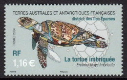 TAAF 2024 FAUNA Animals. Ocean TURTLE - Fine Stamp MNH - Ungebraucht