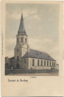 Bornem   *   Souvenir De Bornhem - L'Eglise  (Nels, 1, Gekleurd) - Bornem