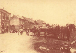 BELGIQUE  - Cercle Des Collectionnaurs De La Ville De Durbuy - Melreux - Campagne - Village - Animé - Carte Postale - Hotton