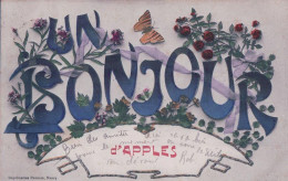 Un Bonjour D' Apples VD, Fleurs Et Papillons, Litho (8.9.1908) - Apples