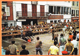 20684 / HASPARREN 64-Euskadi Pharmacie Courses De Vaches Dans Les Rues Folklore Pays Basque 1975s CELY 3151 - Hasparren