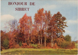 Bonjour De Sibret - Vaux-sur-Sure