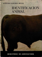 Identificación Animal - Antonio Sánchez Belda - Vita Quotidiana