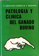 Patología Y Clínica Del Ganado Bovino - Clemente Sánchez-Garnica Y Montes - Praktisch