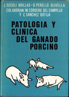 Patología Y Clínica Del Ganado Porcino - VV.AA. - Vita Quotidiana