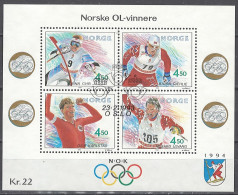 Norwegen Norway 1993. Mi. Block 19, Used O - Blocks & Sheetlets