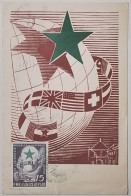 Yugoslavia - Maximum - Congreso De Esperanto - Zagreb 1953 - Kongres Esperantista - Cartes-maximum