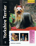 Yorkshire Terrier - R. Keyes - Other & Unclassified