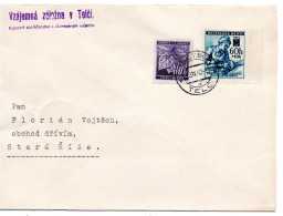 63299 - Deutsches Reich / Böhmen Und Mähren - 1942 - 60h Rotes Kreuz MiF A Bf TELTSCH -> Stara Rise - Cartas & Documentos