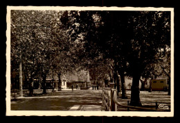 83 - AUPS - AVENUE DU COURS - Aups