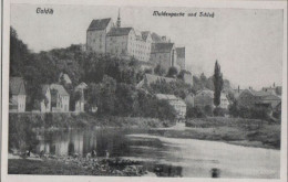 86948 - Colditz - Muldenpartie Und Schloss - Ca. 1950 - Colditz