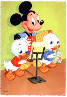 WALD DISNEY  MICKEY  -  CPM 1950 / 60 SERIE 2 - Disneyworld