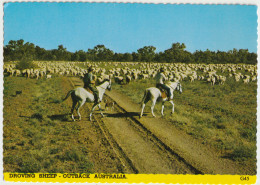 Outback Australia QUEENSLAND Droving Sheep David Lee Qld G45 ICP Postcard C1970s - Other & Unclassified