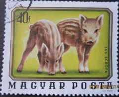 HUNGARY ~ 1976 ~ S.G. NUMBER 3014, ~ YOUNG ANIMALS. ~ VFU #01887 - Oblitérés