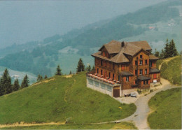 Steinerberg - Berggasthaus Wildspitz        Ca. 1980 - Steinerberg