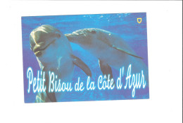 DAUPHINS   THEME  PETIT BISOU DE LA COTE D AZUR          ///      A  SAISIR ***** - Dauphins