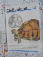 Cheloniens :  Revue De La Federation Francophone Pour L'Elevage Et La Protection Des Tortues (Decembre 2010) No. 20 - Tierwelt